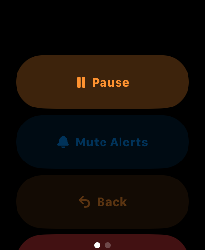 Active Workout Controls