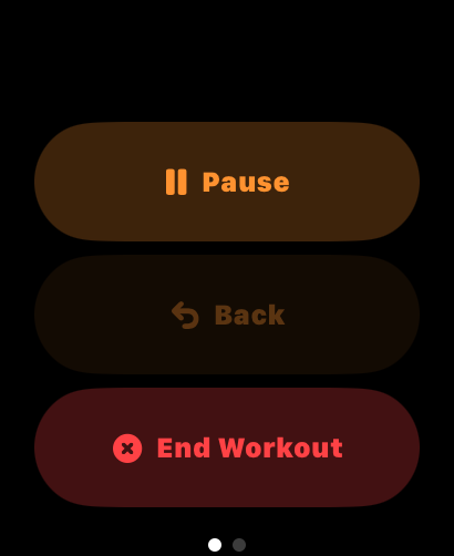 Workout Controls